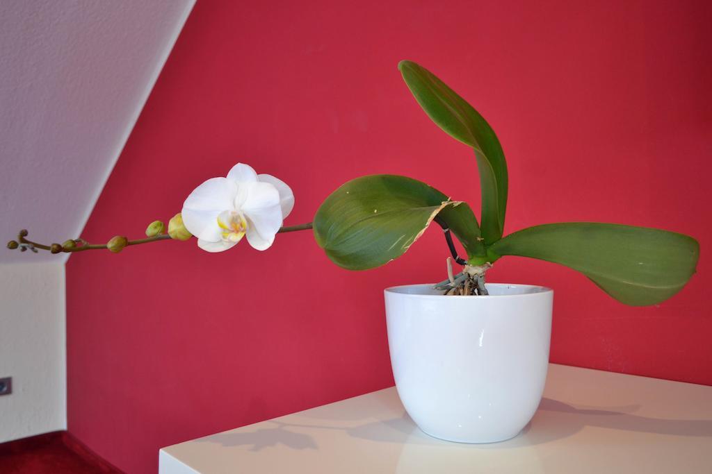 Loft Apartments Pulheim Bilik gambar